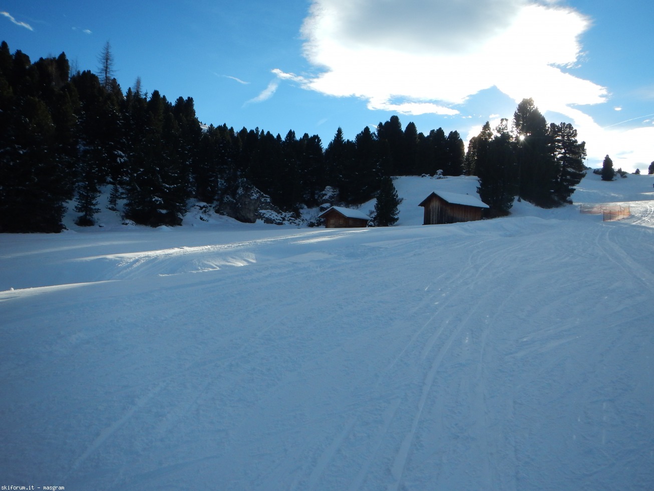 177316-dscn8433.jpg