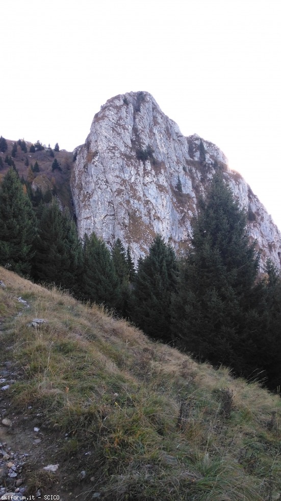 178050-corno-del-bene-img20161029105754.jpg