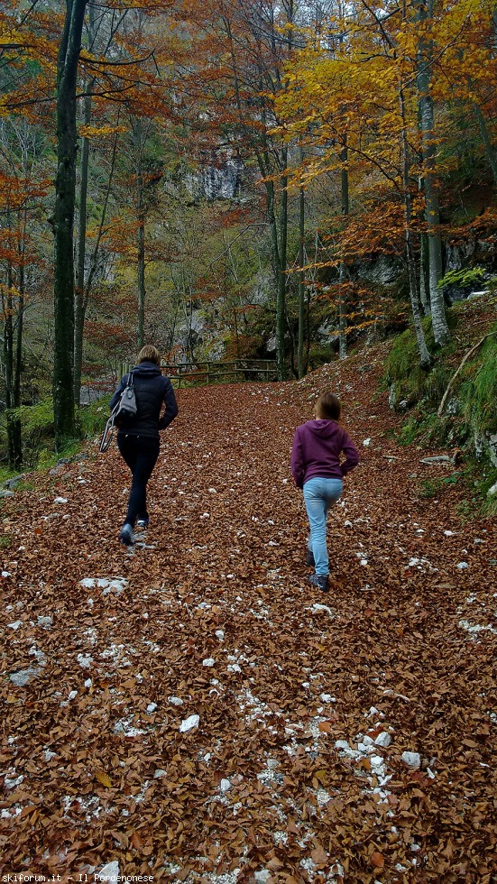 178109-val-d-arzino-2016-11-01-17-24-51.jpg
