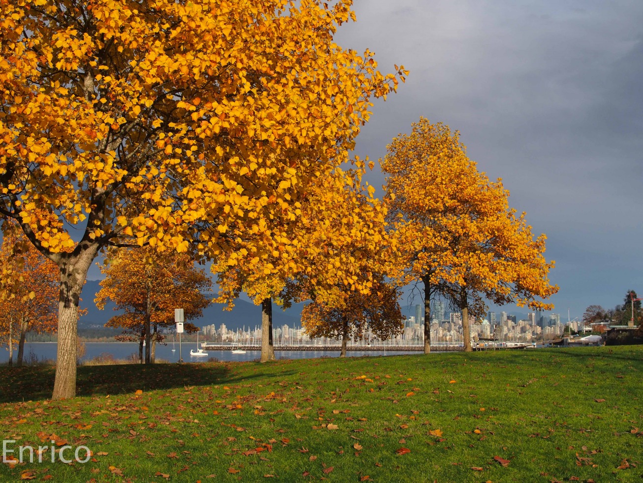 178157-fall-in-vancouver-fall-in-vancouver-13-of-17.jpg