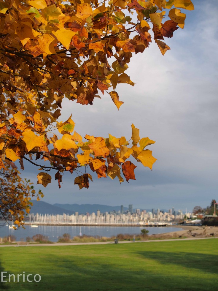 178158-fall-in-vancouver-fall-in-vancouver-12-of-17.jpg