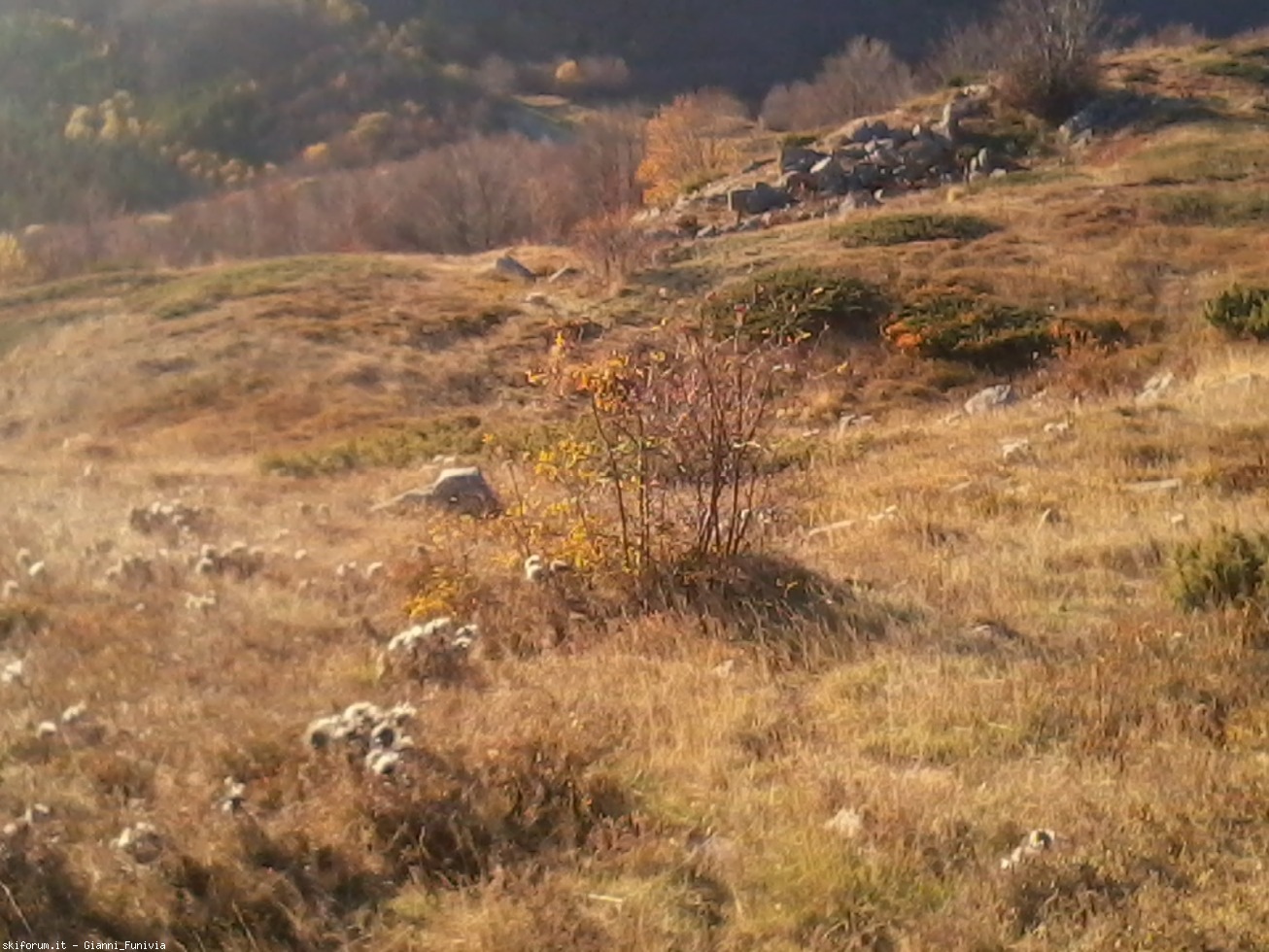 178537-abetone-e-dintorni-2016-10-30-16.20.05.jpg