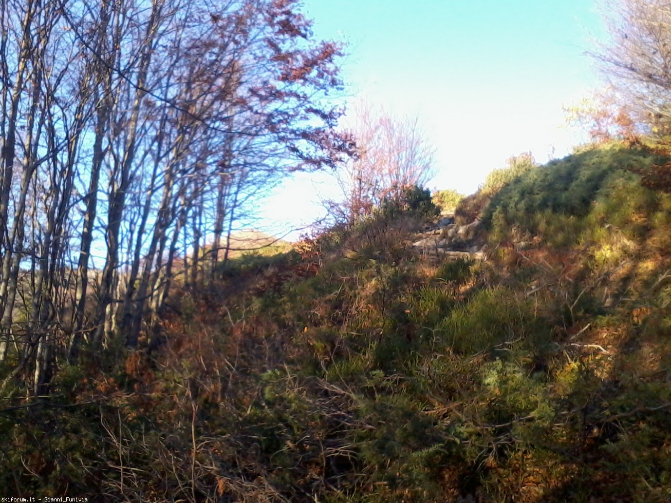178540-abetone-e-dintorni-2016-10-30-16.28.35.jpg