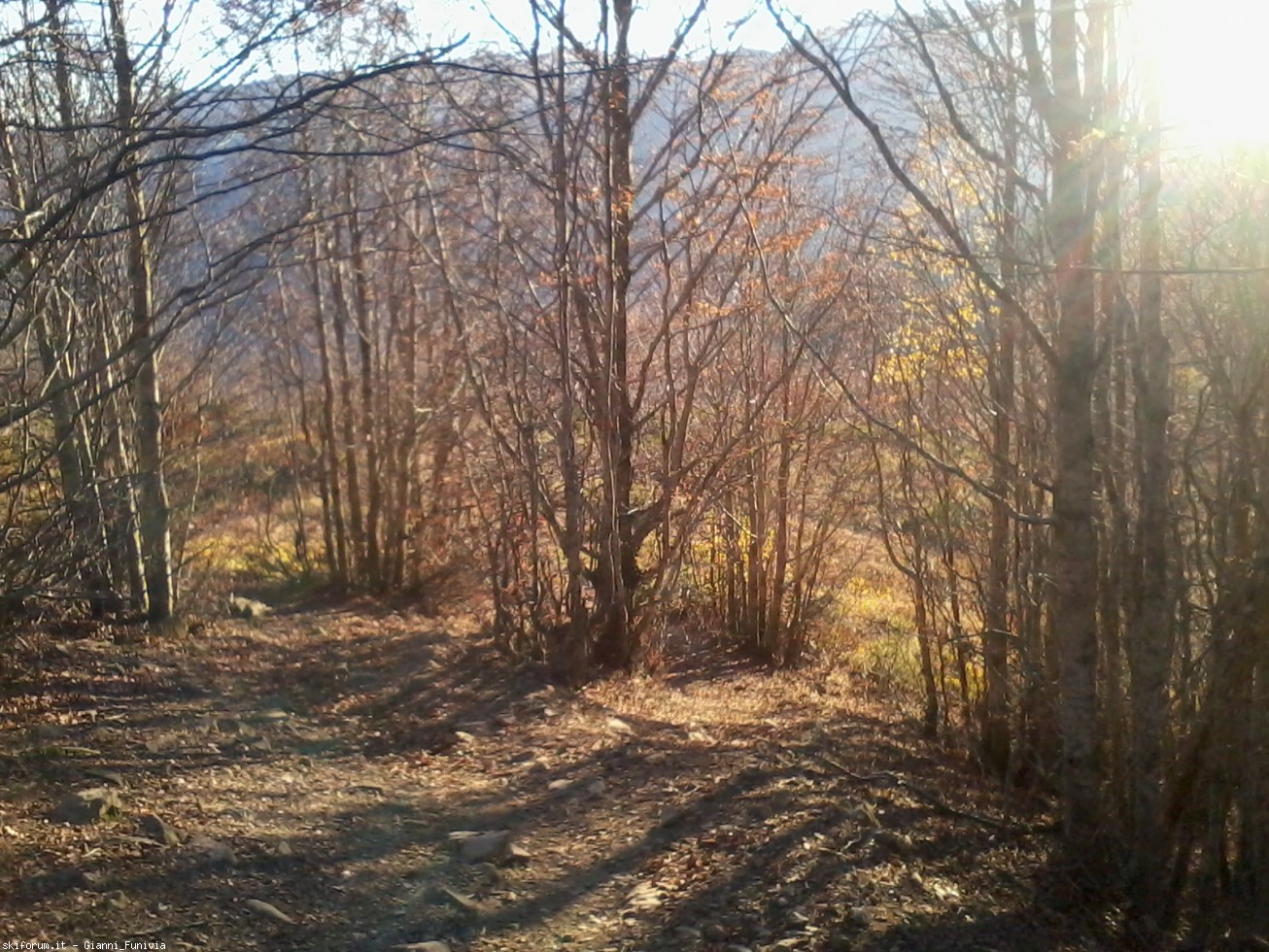 178543-abetone-e-dintorni-2016-10-30-16.28.59.jpg