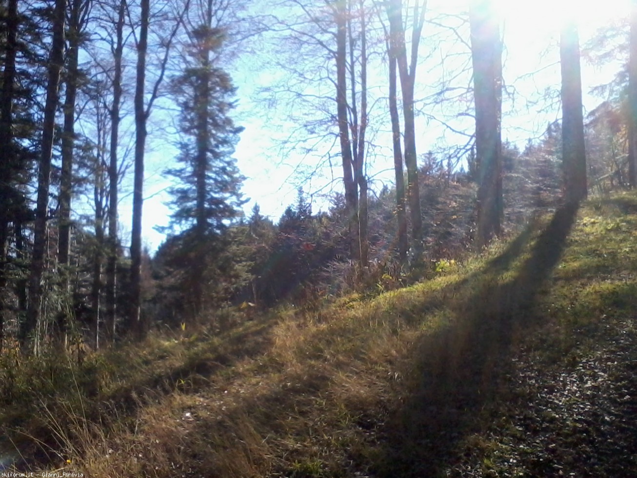 178549-abetone-e-dintorni-2016-10-31-11.13.19.jpg