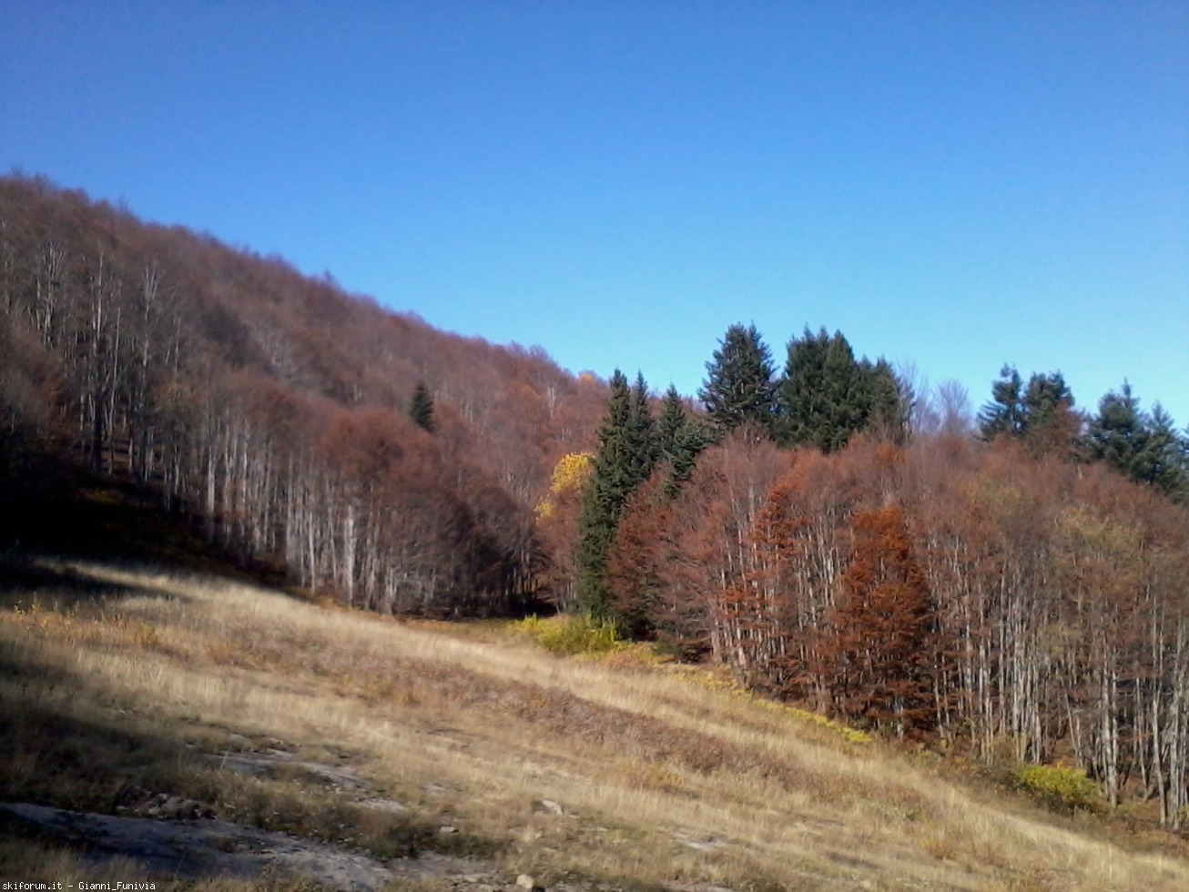 178552-abetone-e-dintorni-2016-10-31-11.29.46.jpg