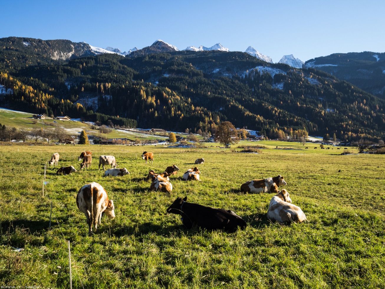 179569-marmolada-novembre-2016-tommaso-leonardi-tommasoleonardi-2016-122517.jpeg