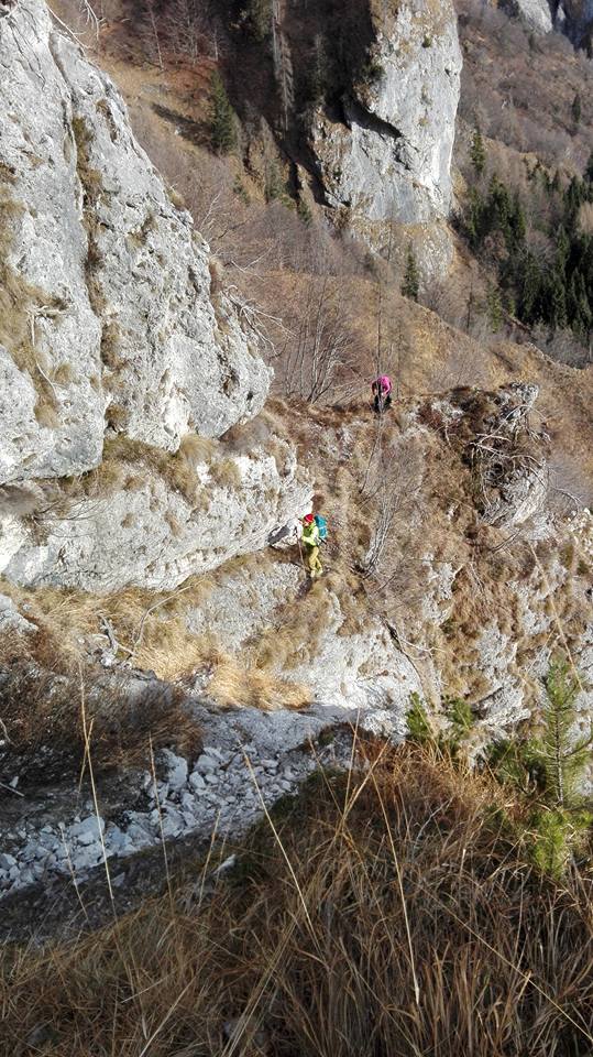 183367-traversata-pala-bassa-156977847277478340689268609036369237377866n.jpg