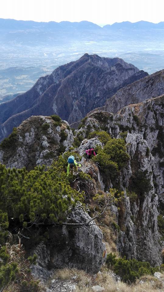 183368-traversata-pala-bassa-157263337277479340689161237037708591175942n.jpg