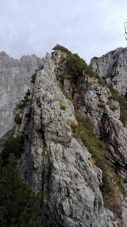 183377-traversata-pala-bassa-157814517277479974022438926440961303917098n.jpg