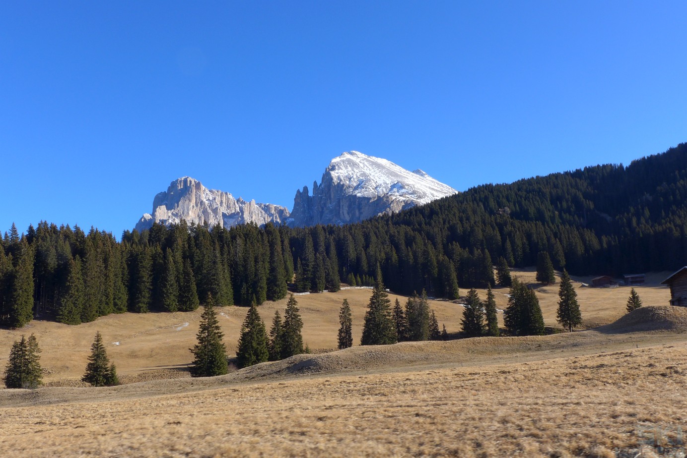 183537-alpedisiusiseiseralm-025.jpg