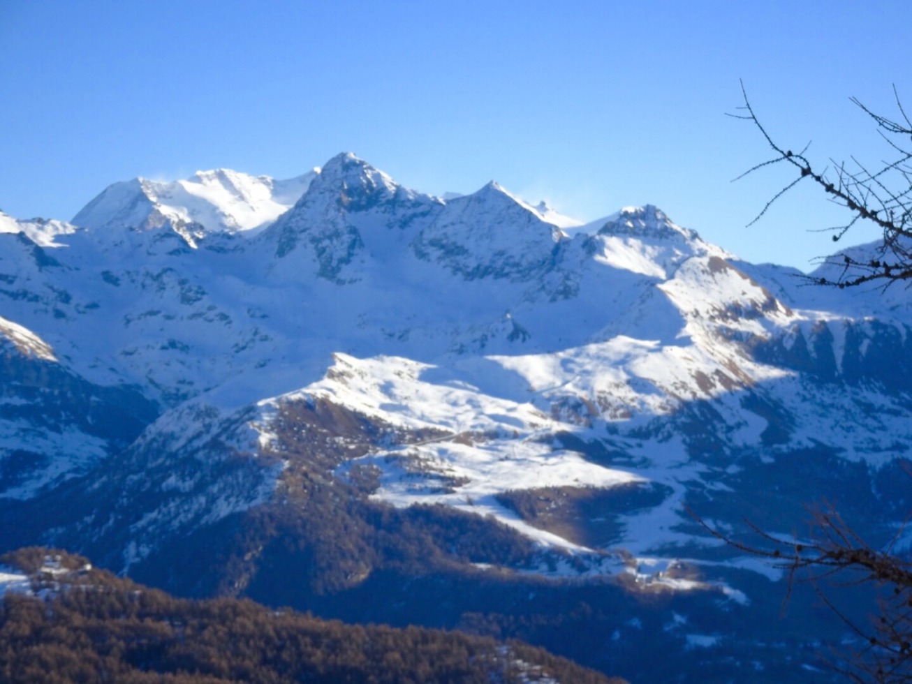 183695-image.jpg
