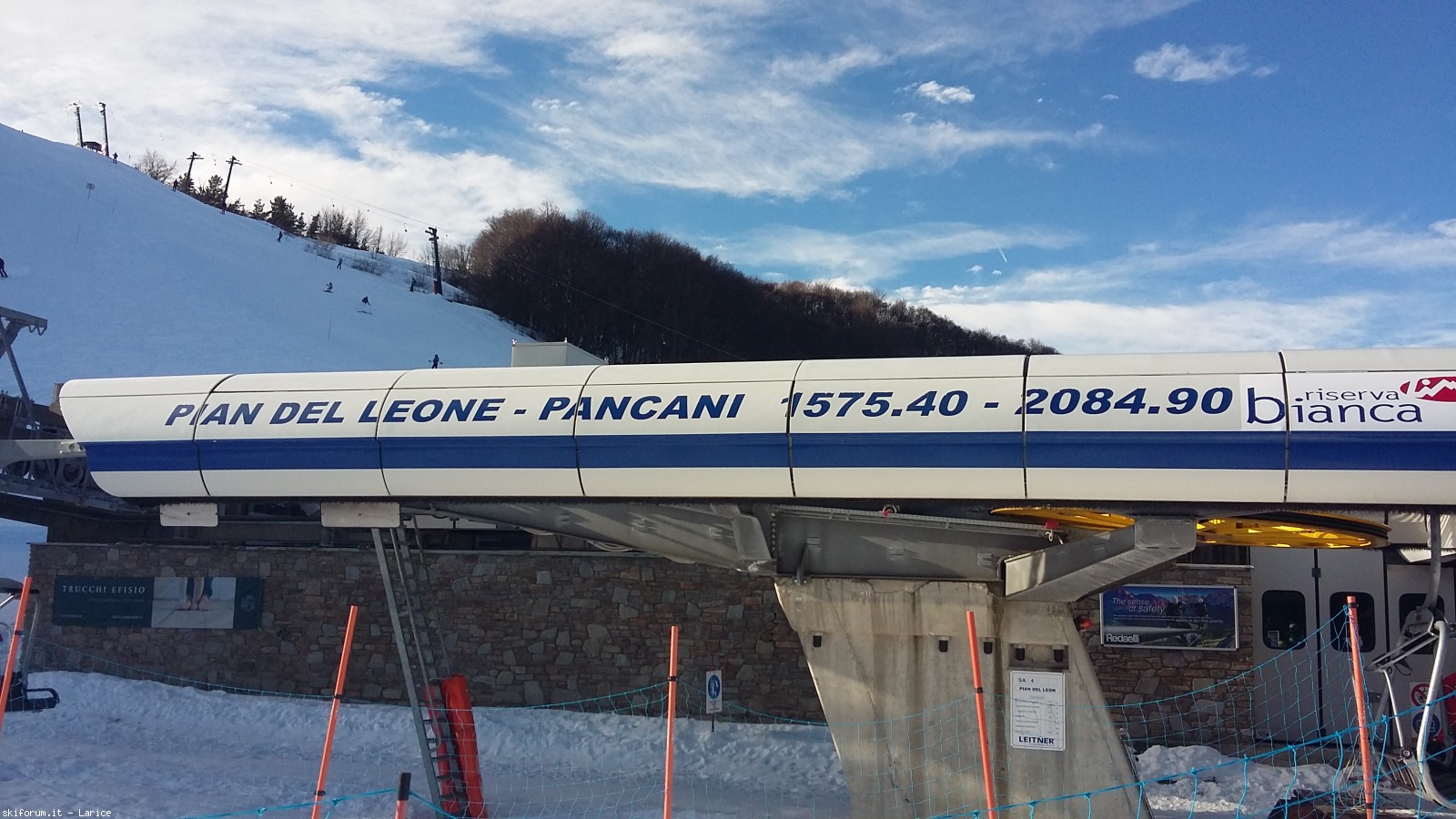 183932-limone-201.jpg