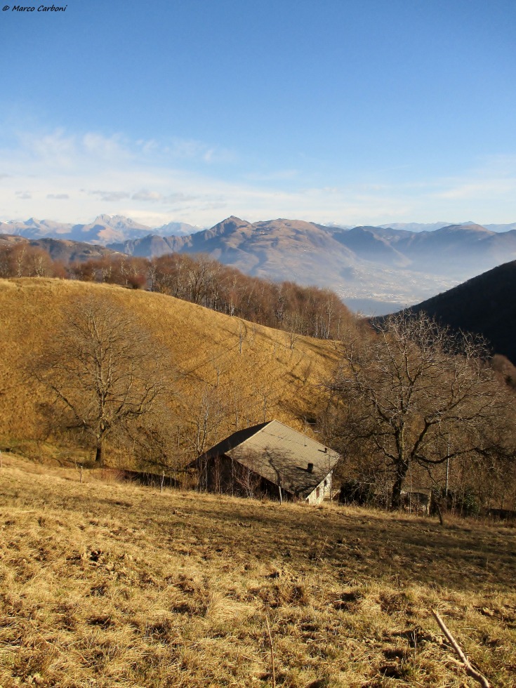 184046-poieto-invernale-img5414.jpg