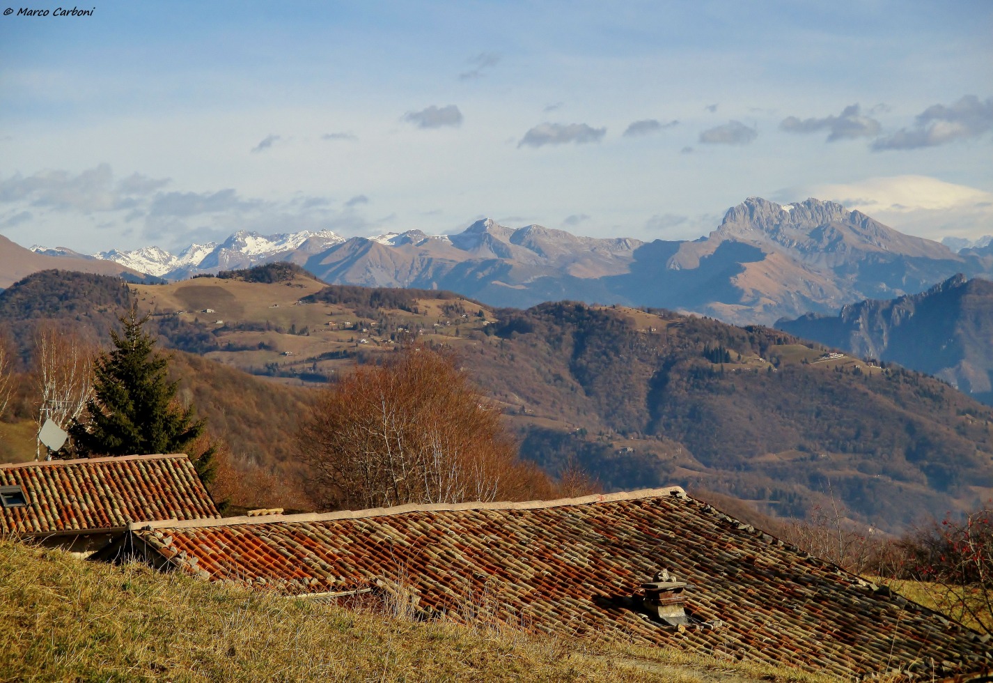 184047-poieto-invernale-img5419.jpg