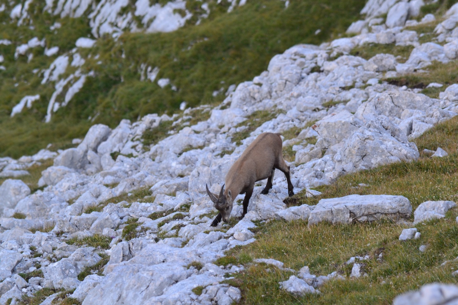 184182-monte-duranno-f422911240.jpg