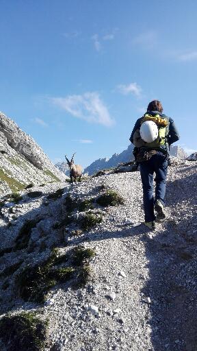 184183-monte-duranno-f428598512.jpg