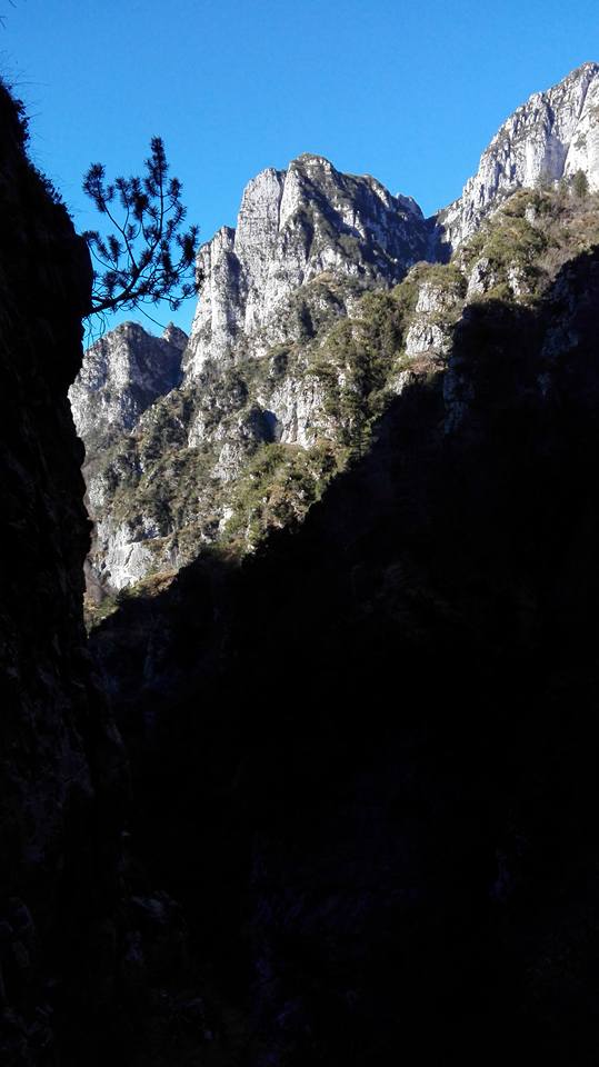 184252-zimon-de-gena-per-la-zengia-squara-158258567340205201083248405923055152766552n.jpg