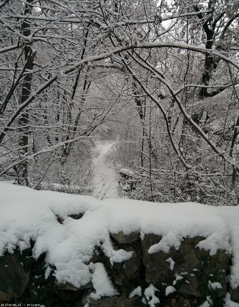 184432-img20170113124620-01.jpeg
