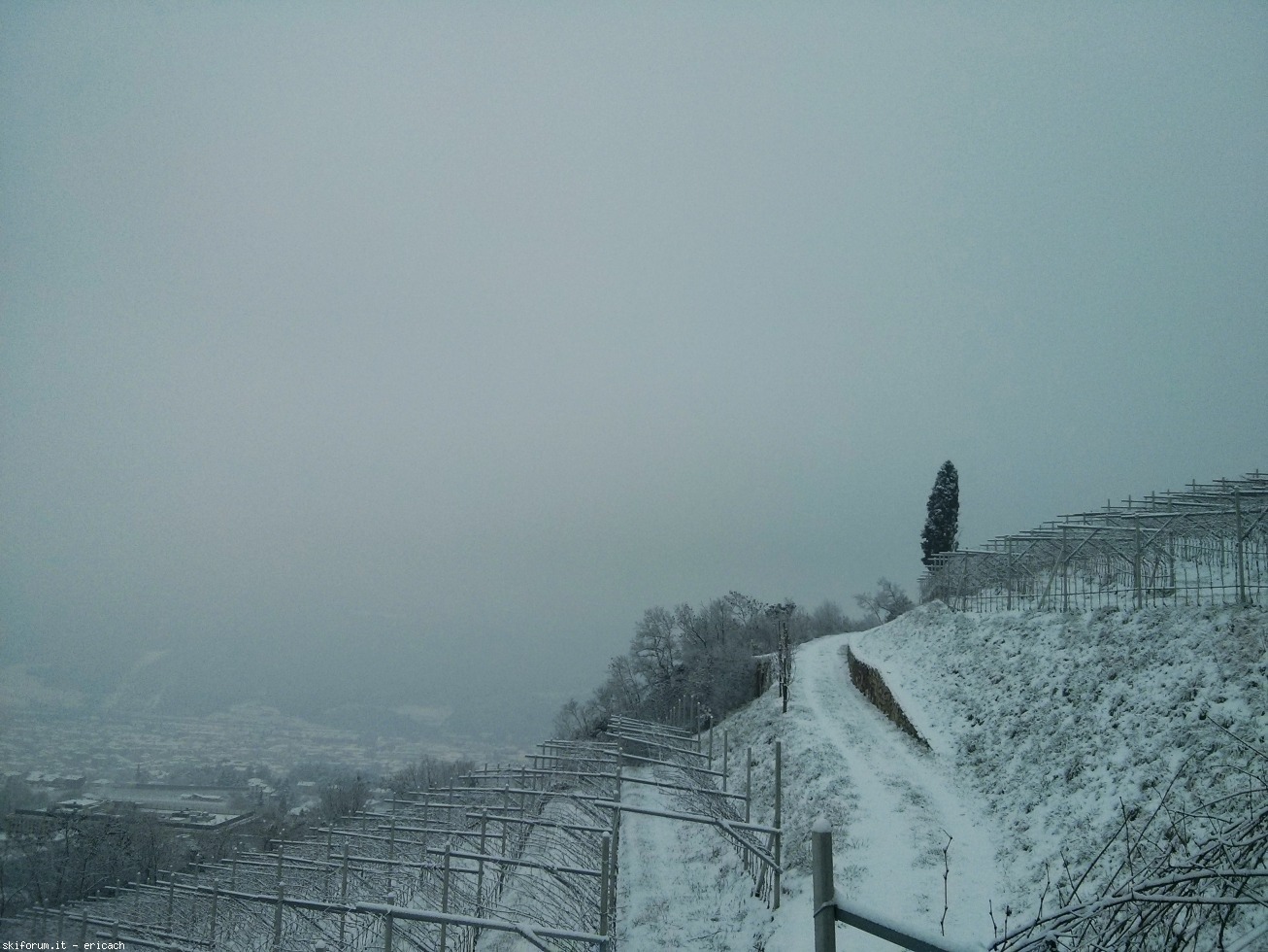 184433-img20170113124953-01.jpeg