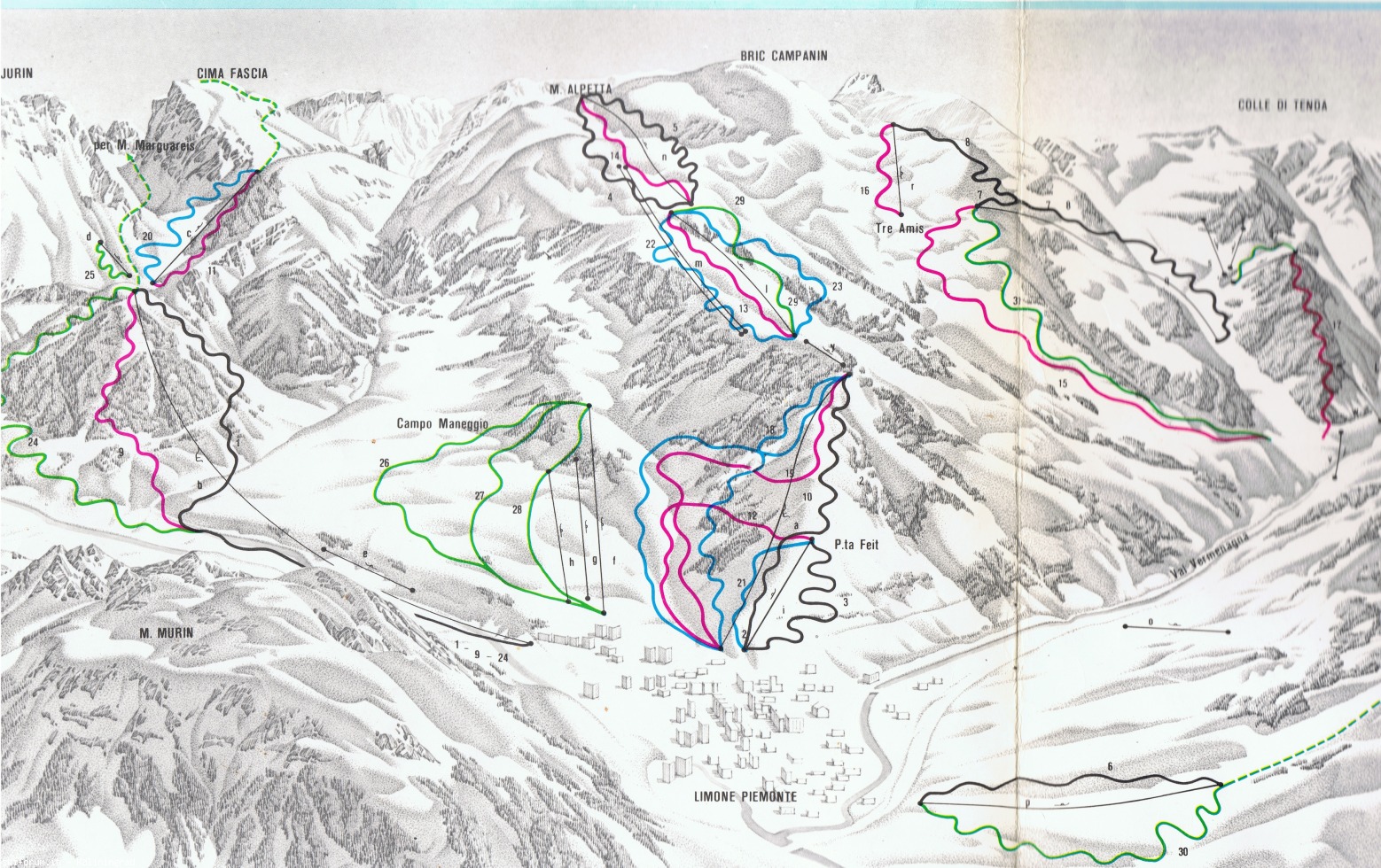 184514-limone-cartina-3.jpeg