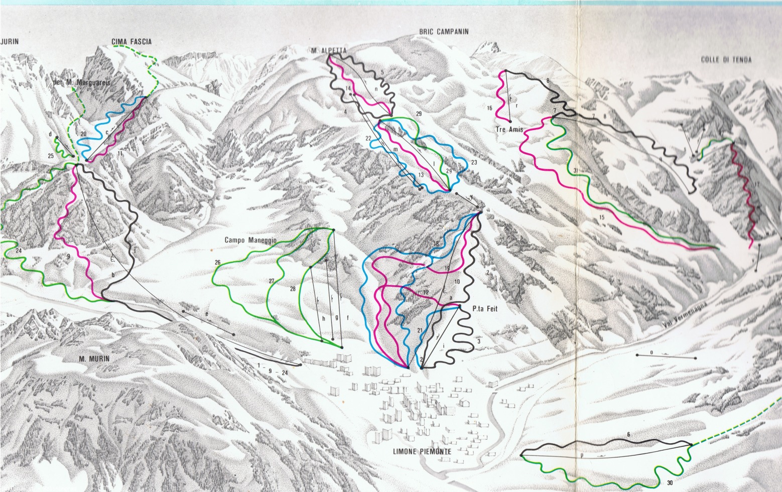 184514-limone-cartina-3.jpeg