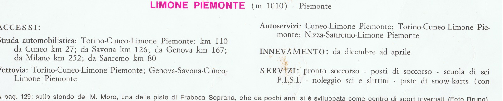 184515-limone-legenda-1.jpeg