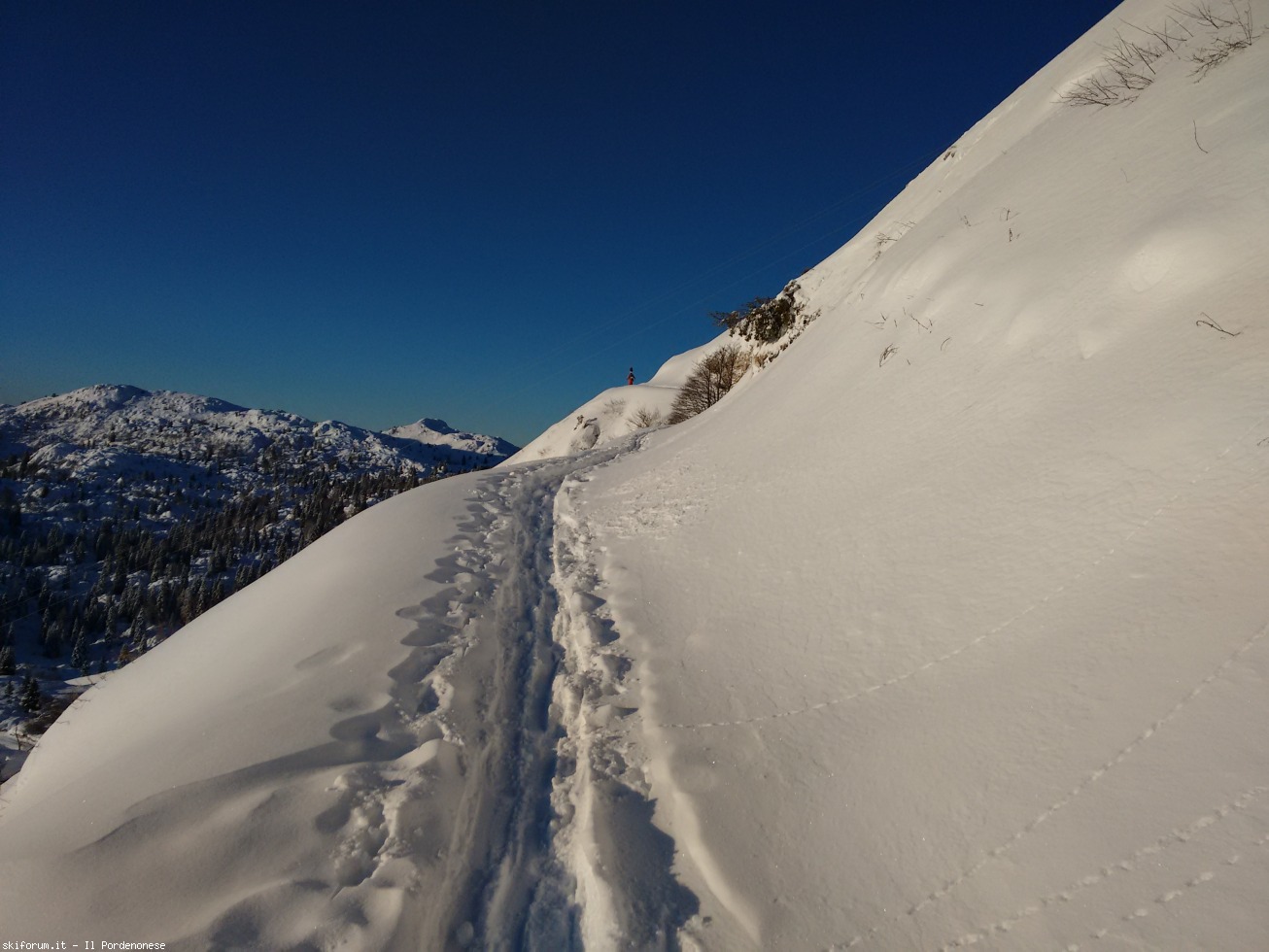 184787-skialp-val-dei-sass-skialp4.jpg