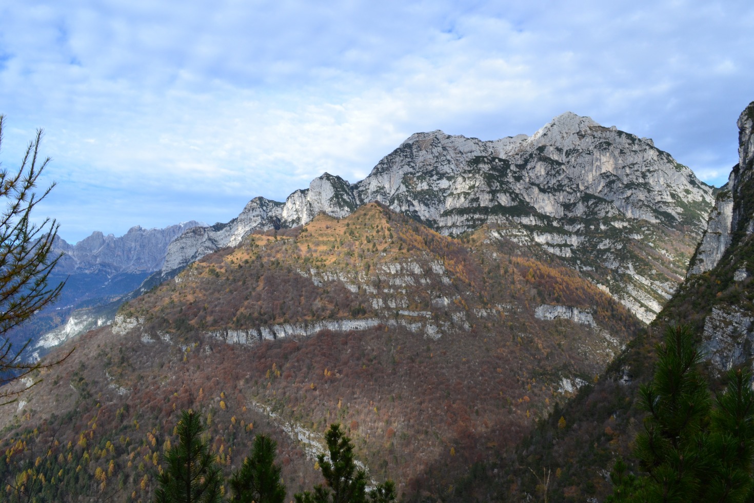 185929-forzelon-de-le-mughe-dsc0041.jpg