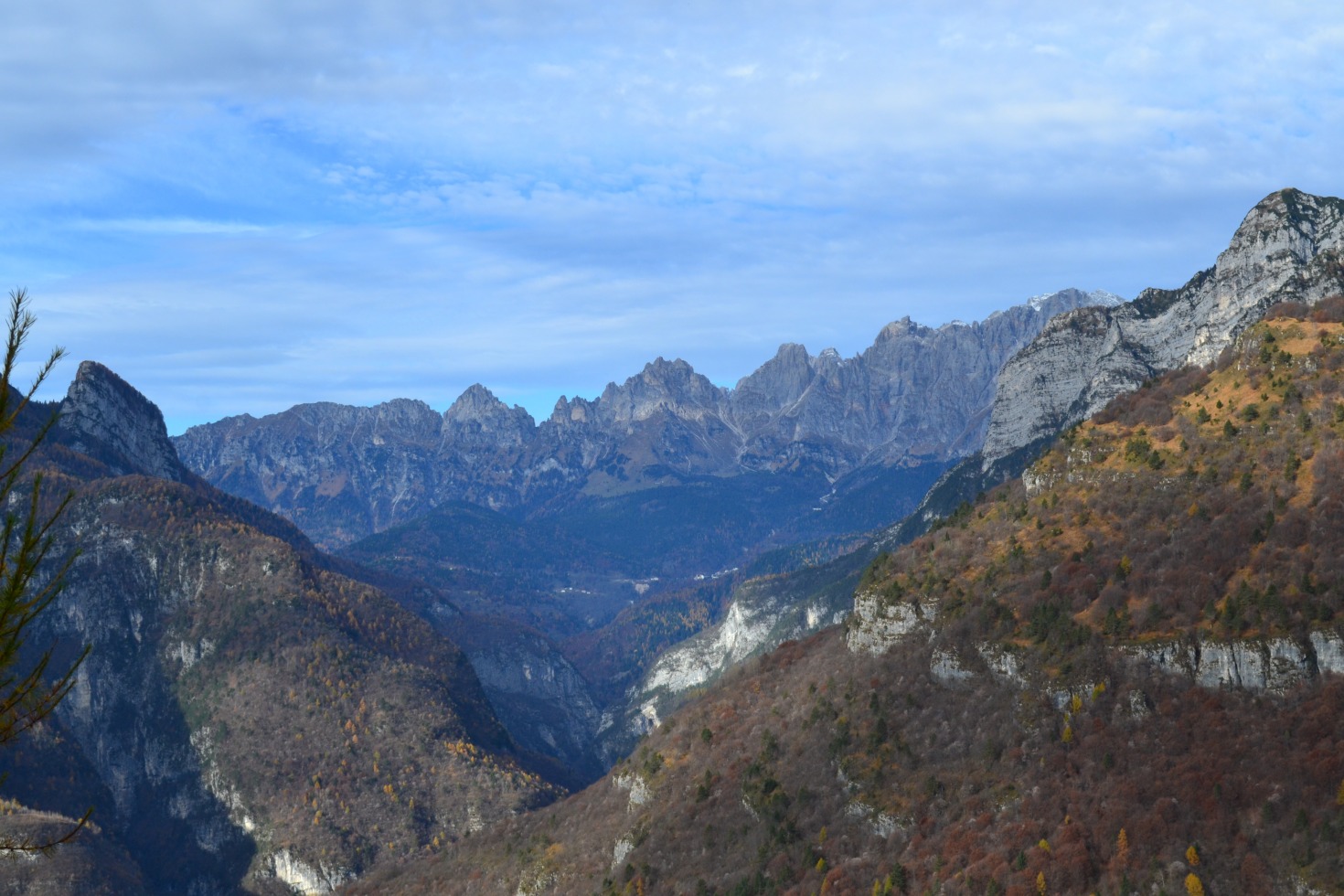 185930-forzelon-de-le-mughe-dsc0043.jpg