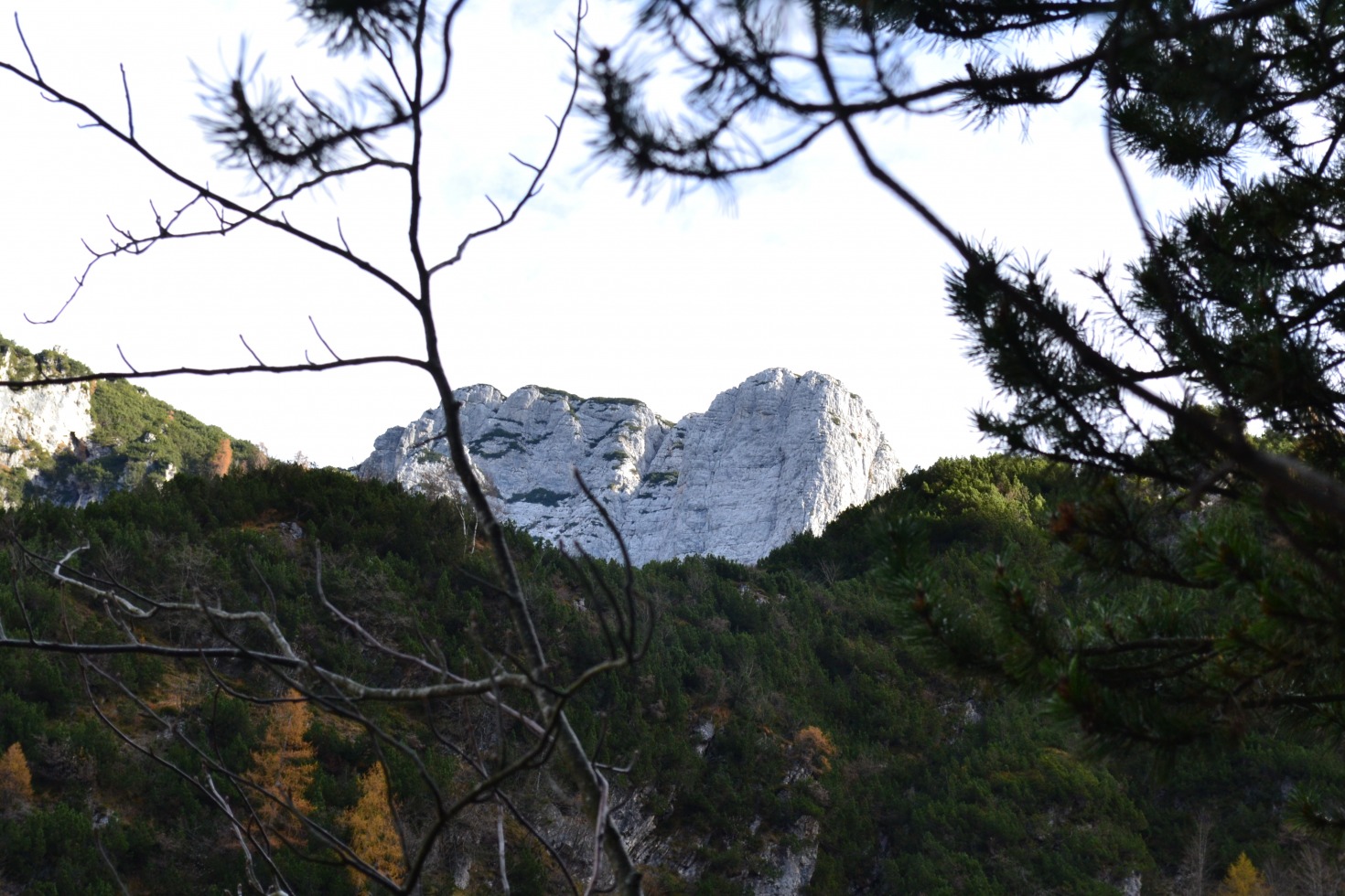 185936-forzelon-de-le-mughe-dsc0053.jpg