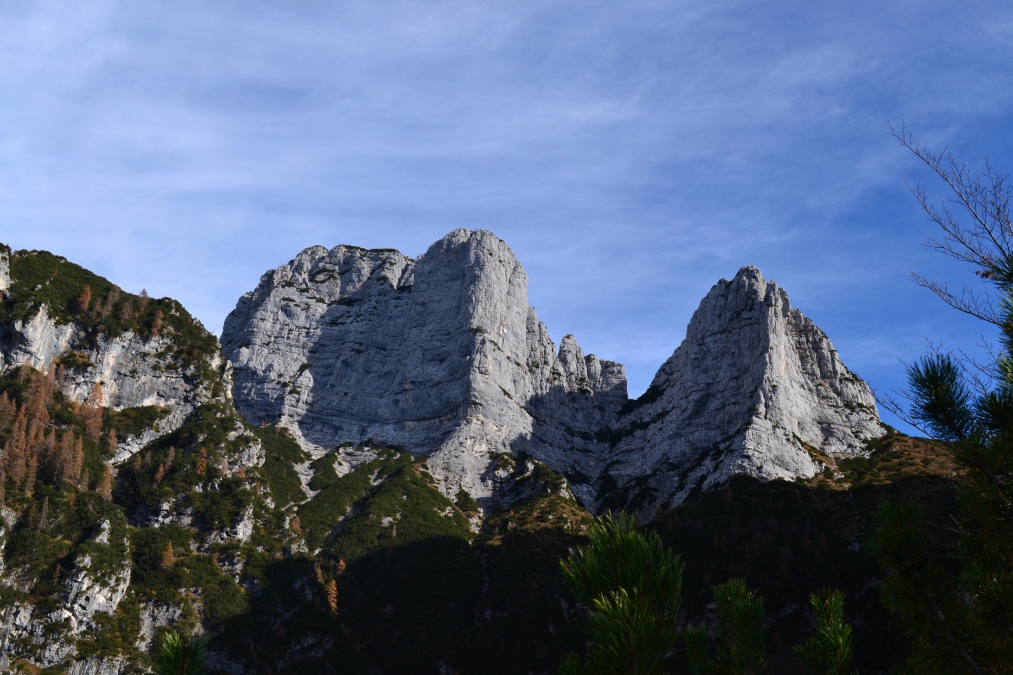 185938-forzelon-de-le-mughe-dsc0055.jpg