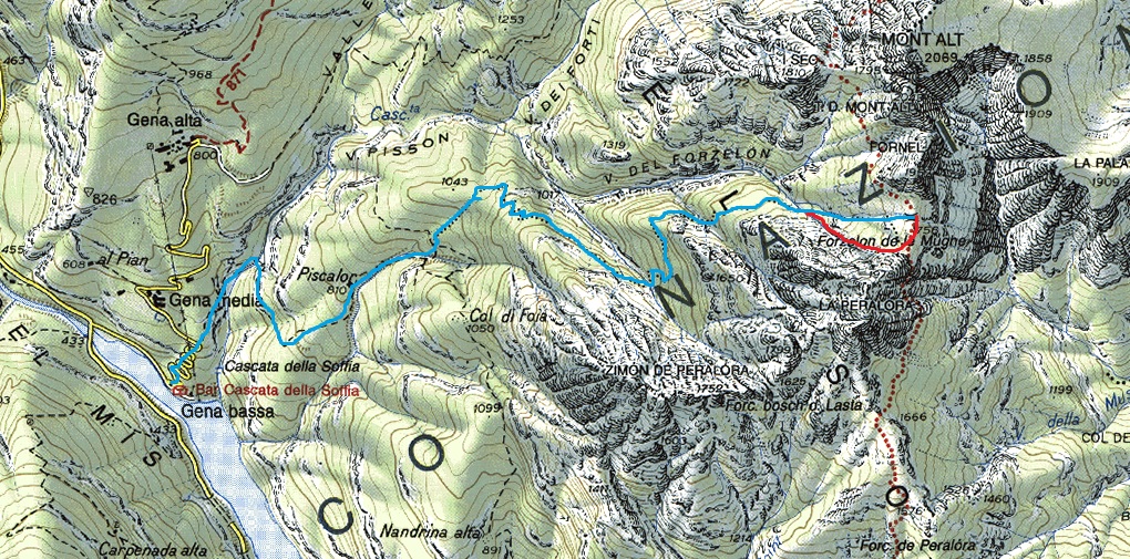 185940-forzelon-de-le-mughe-immagine.jpg