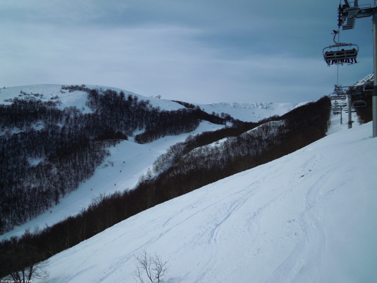 186285-dscn6405.jpg