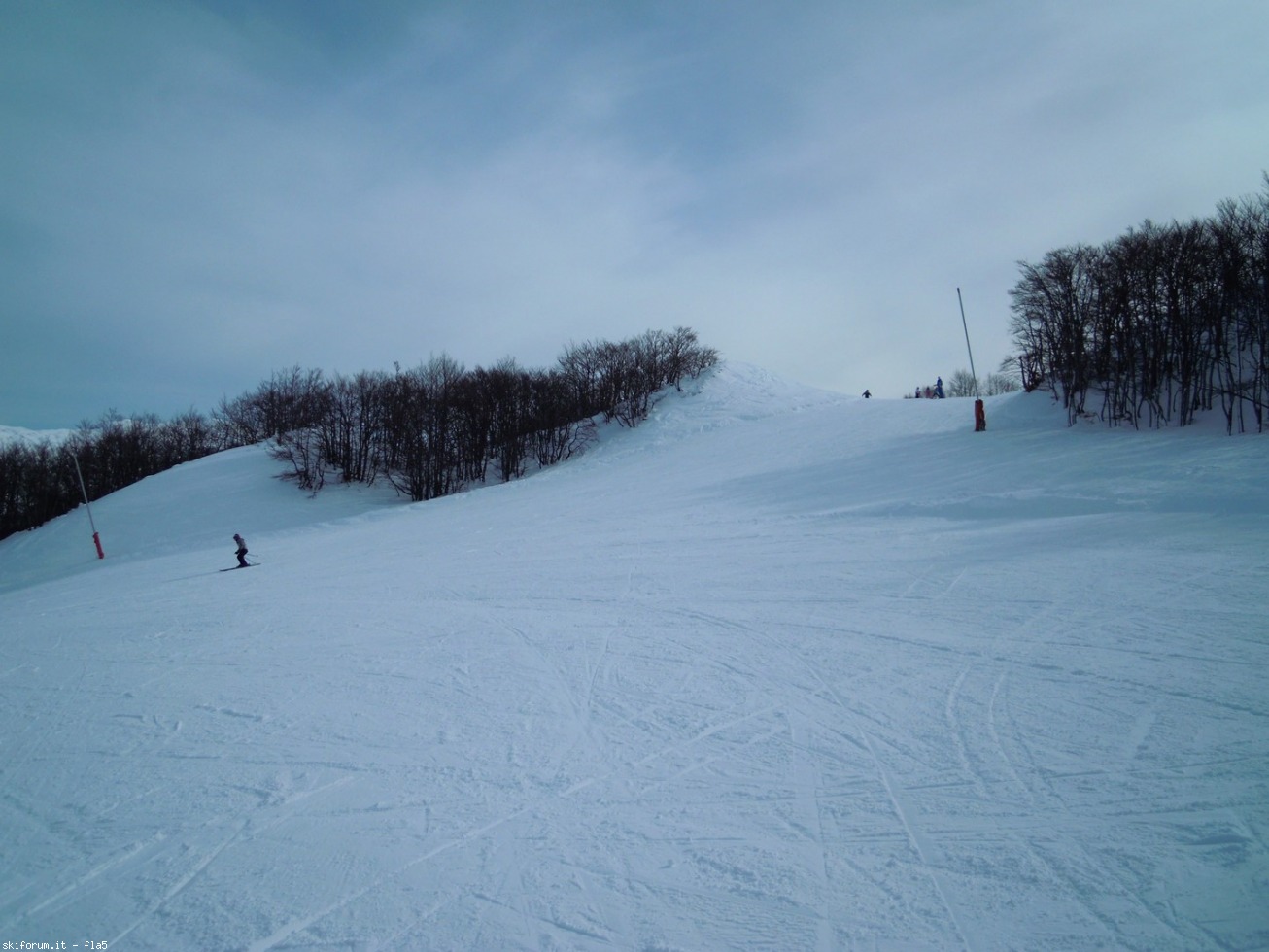 186290-dscn6411.jpg