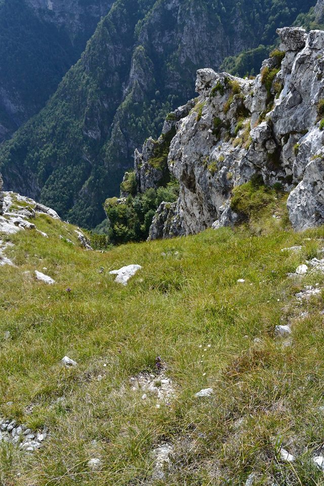 186436-rocheta-dei-monti-del-sole-117920715134485654988559209865860931528010o.jpg