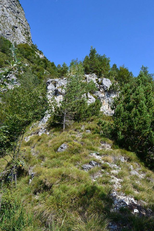 186437-rocheta-dei-monti-del-sole-11951660513448085498903437204713809990730o.jpg