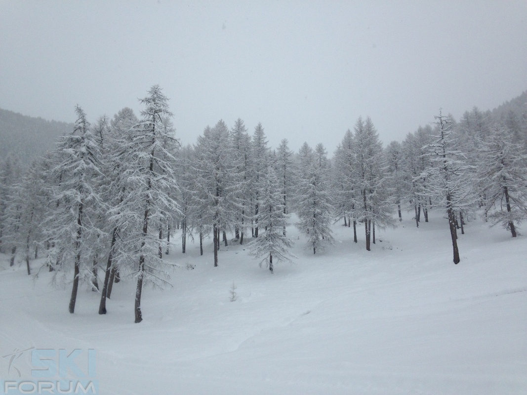 187142-nevicata-pusteria-003.jpg