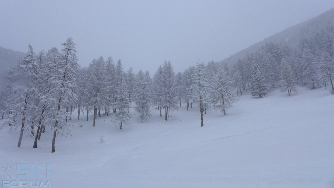 187150-nevicata-pusteria-011.jpg