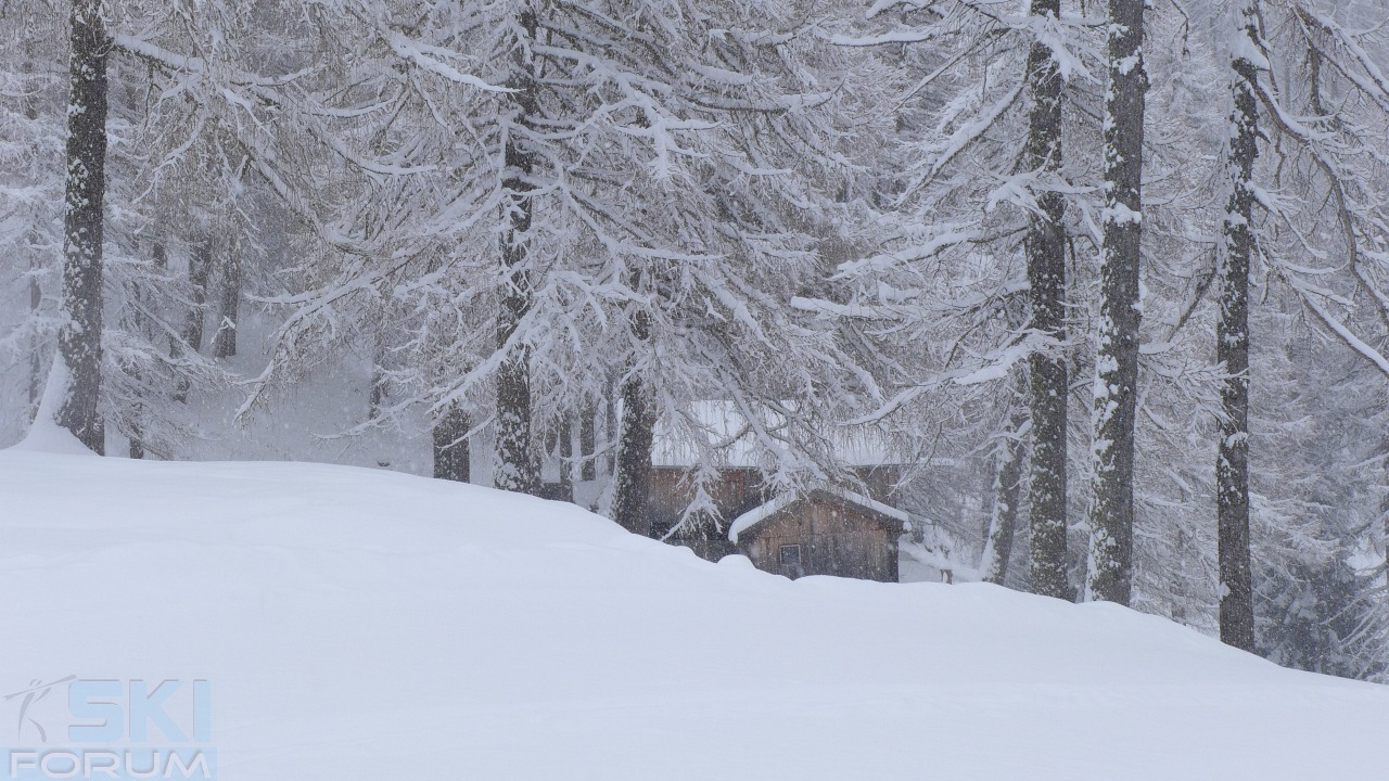 187151-nevicata-pusteria-012.jpg