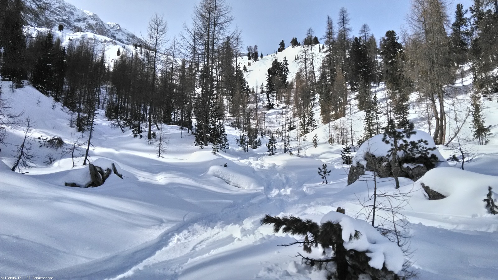 189953-giavo-piccolo-p20170303101124hdr.jpg
