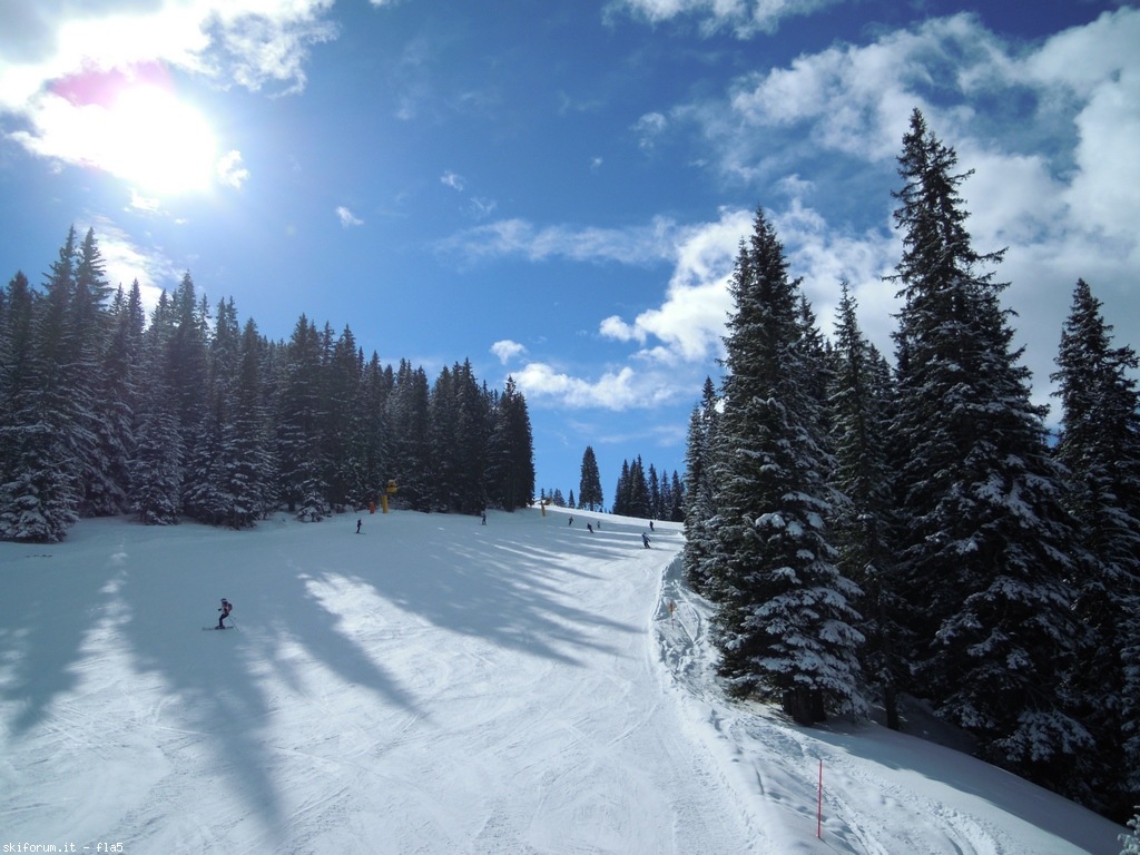 190205-dscn6742.jpg