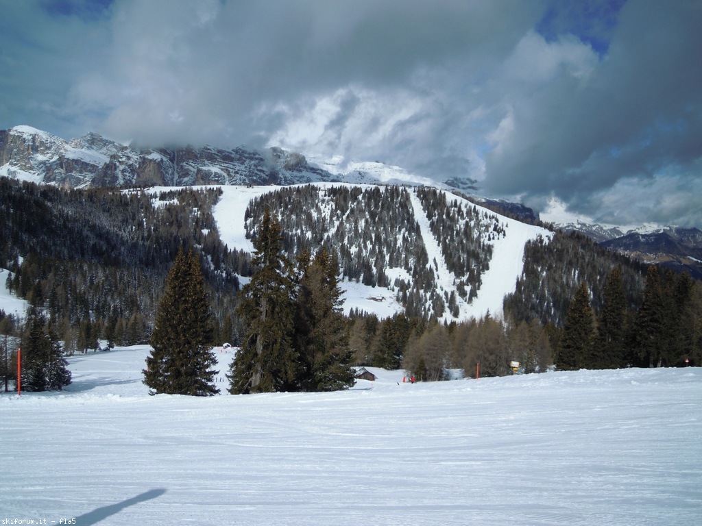 190206-dscn6744.jpg