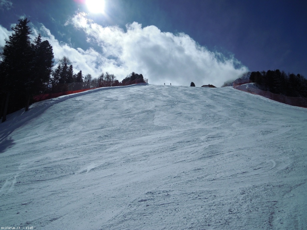 190224-dscn6794.jpg