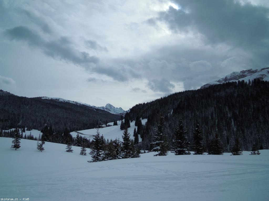 190244-dscn6850.jpg