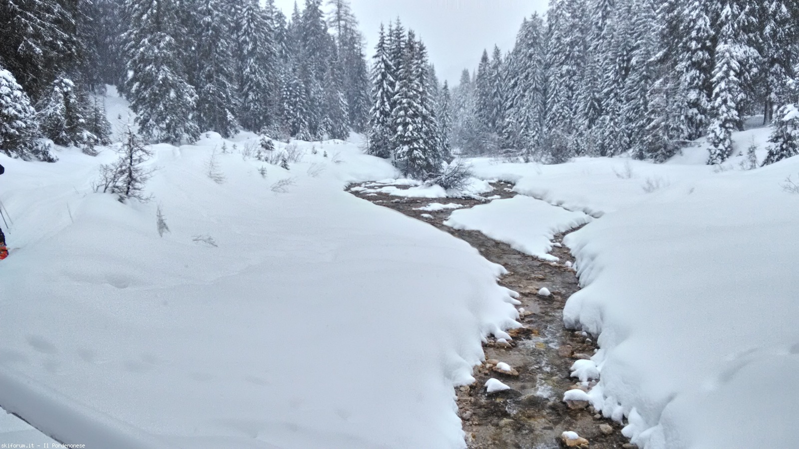 190254-alpe-di-nemes-p20170305102039hdr.jpg