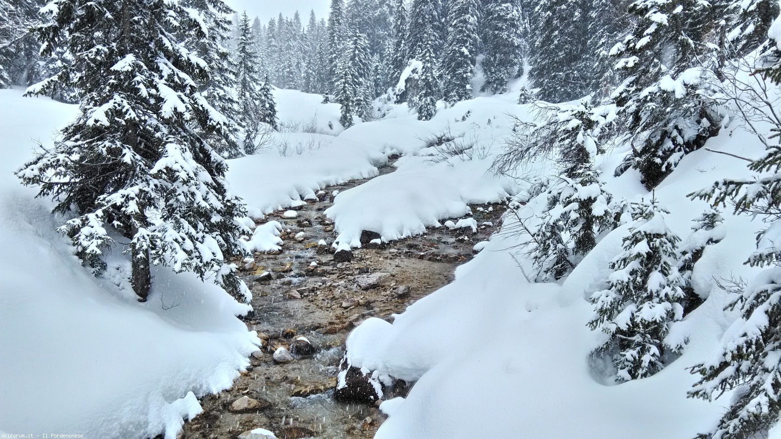 190255-alpe-di-nemes-p20170305102032hdr.jpg