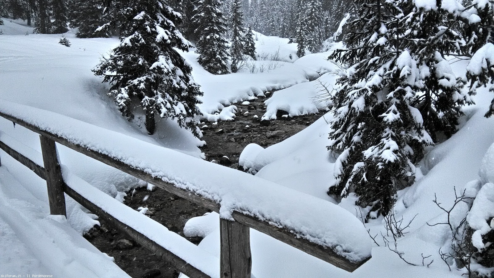 190256-alpe-di-nemes-p20170305102026hdr.jpg