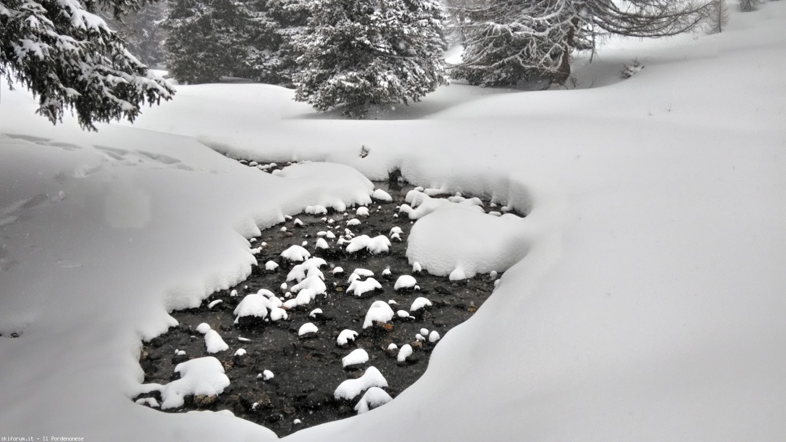 190259-alpe-di-nemes-p20170305114817hdr.jpg