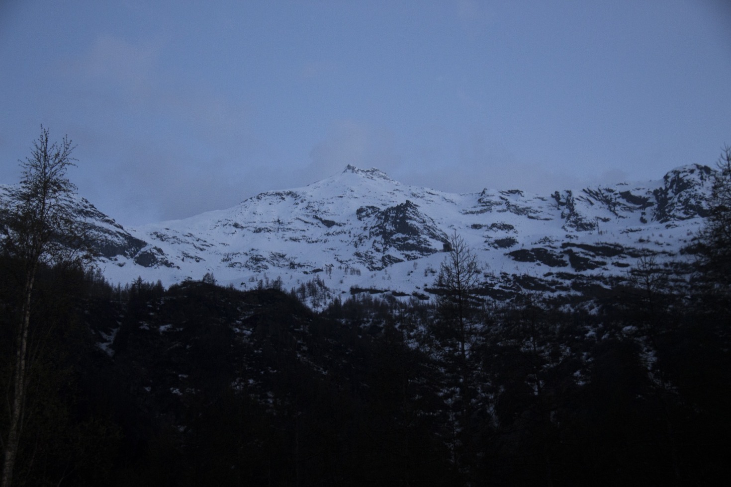 192618-img2599.jpg